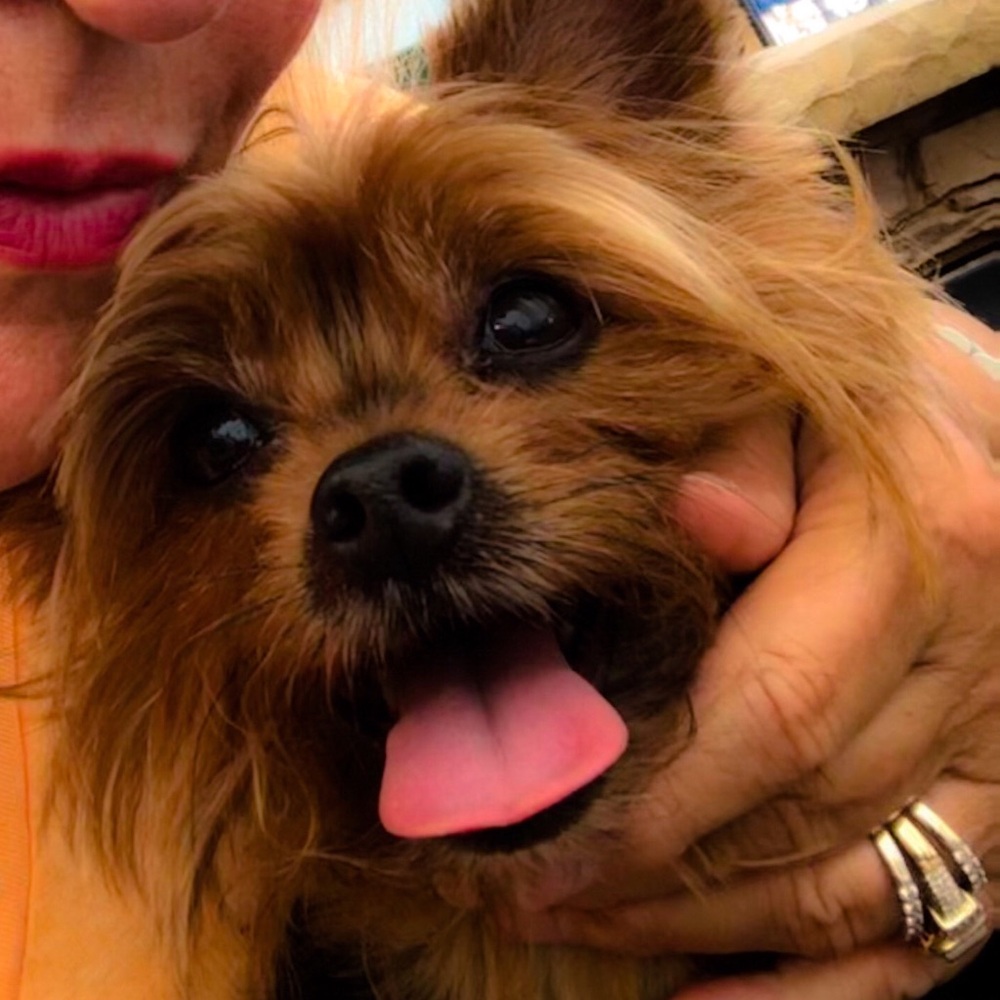 Meet your Posher, Robin